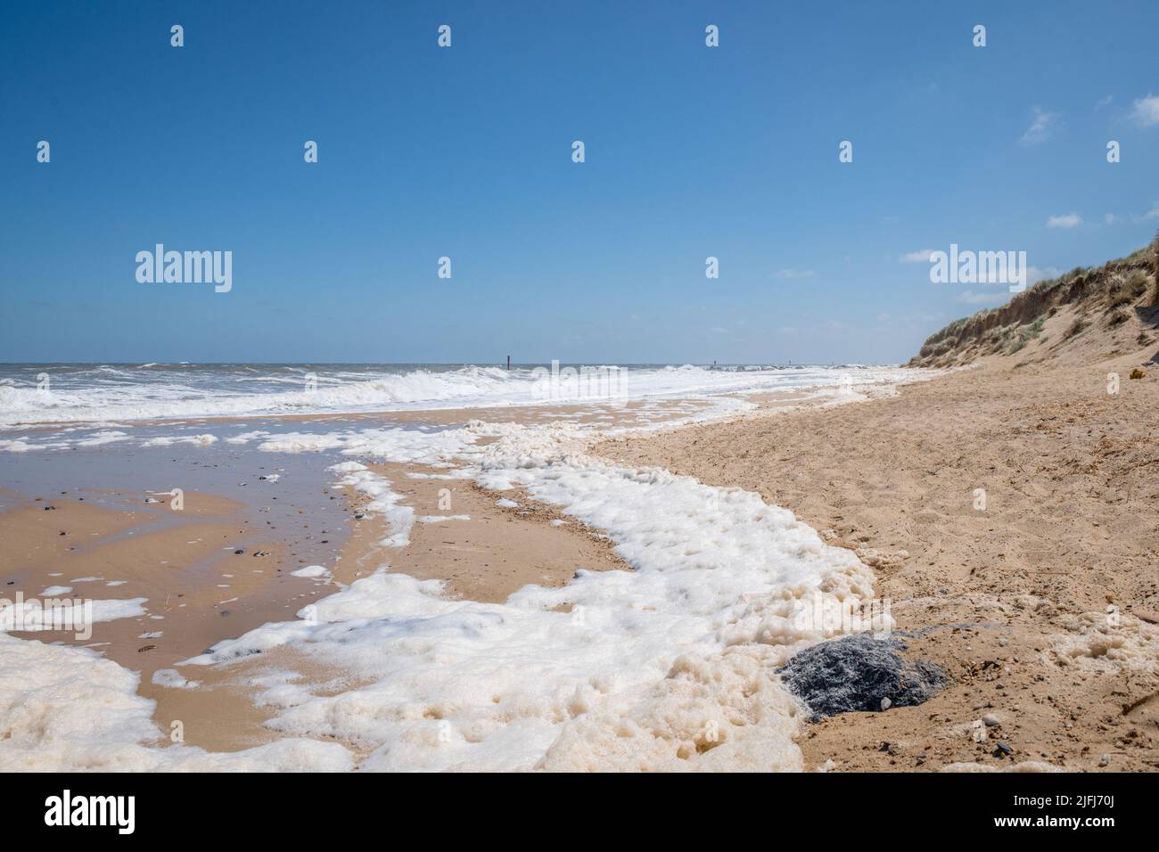 Schiuma di mare, schiuma di mare, schiuma di spiaggia, o spume è un tipo di schiuma creata dall'agitazione di acqua di mare, sulla spiaggia a Horsey, Norfolk, Inghilterra. Foto Stock