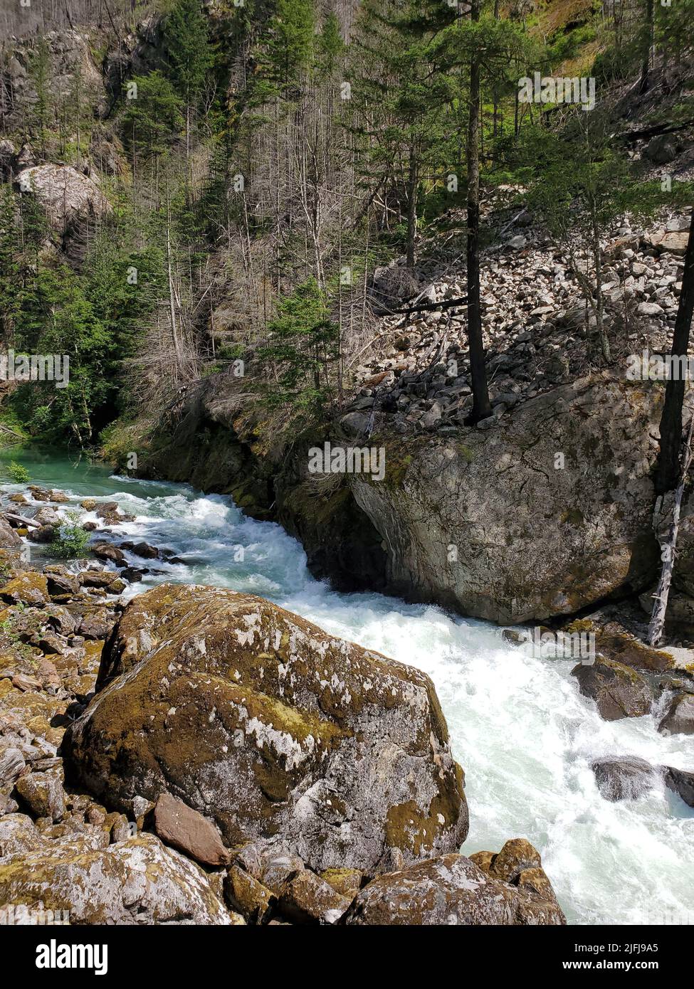 Un colpo verticale di un piccolo fiume circondato da rocce in una foresta a Bothell Foto Stock