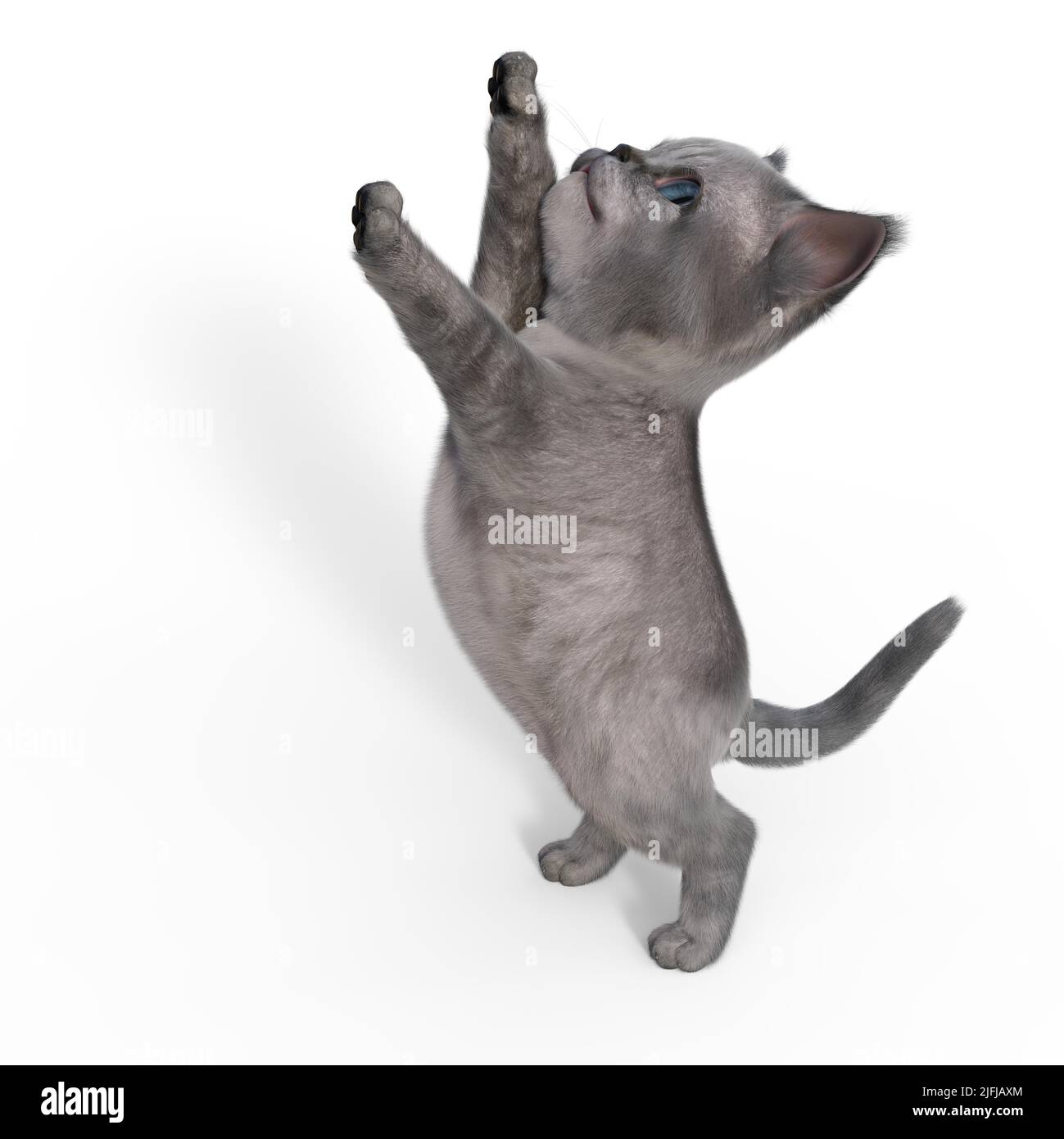 3d-illustrazione di un gatto cute isolato che raggiunge Foto Stock