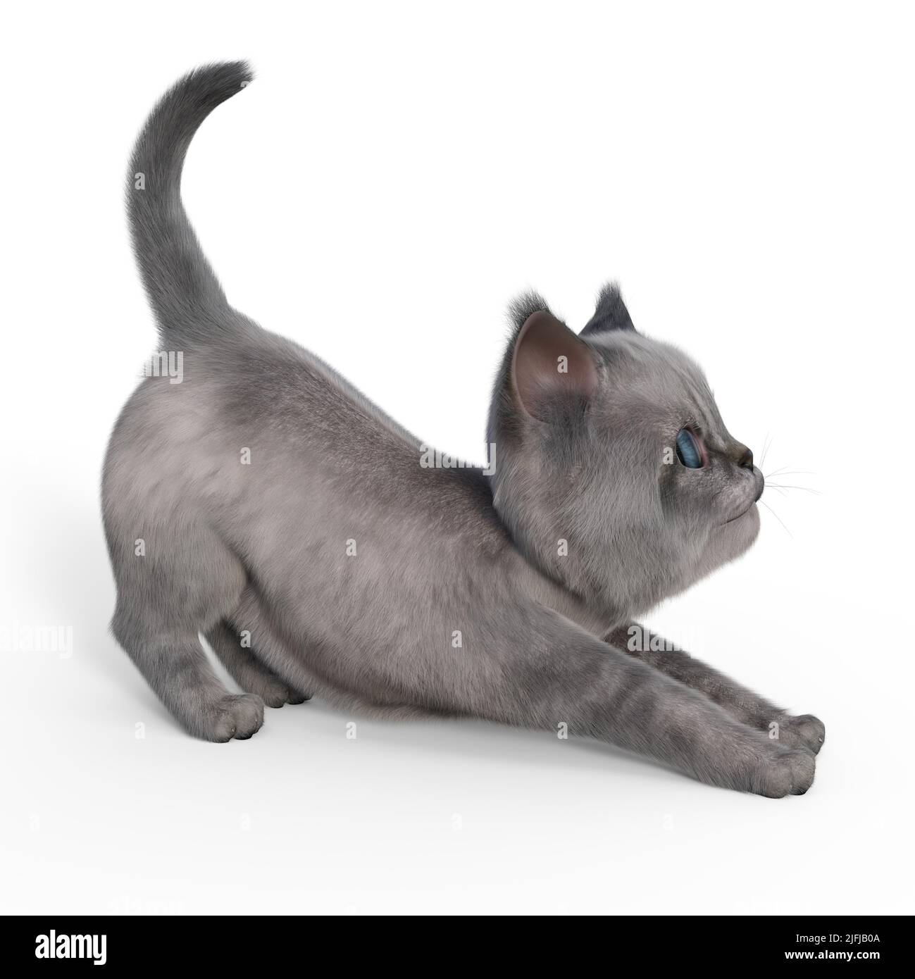 3d-illustrazione di un gatto carino isolato in attesa Foto Stock