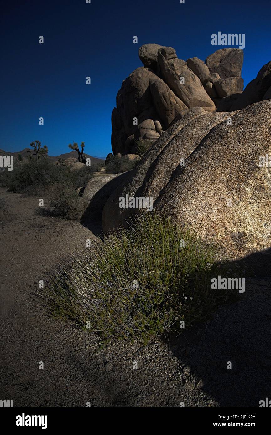 Parco nazionale di Joshua Tree Foto Stock
