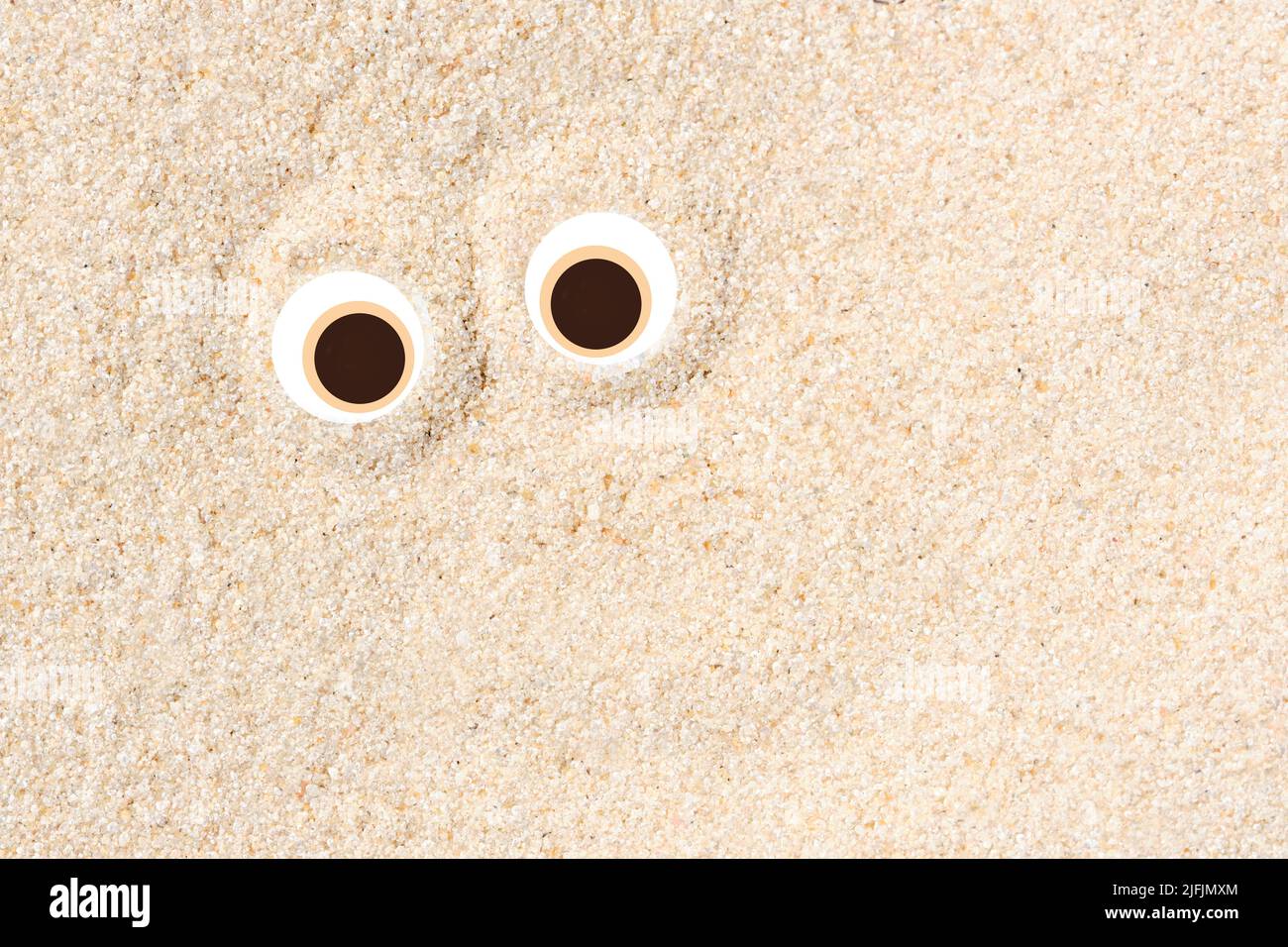 Fondo piatto minimalista creativo per il concetto estivo, un paio di caricature che fissano gli occhi sulla sabbia chiara sulla spiaggia. Design divertente con copia s. Foto Stock