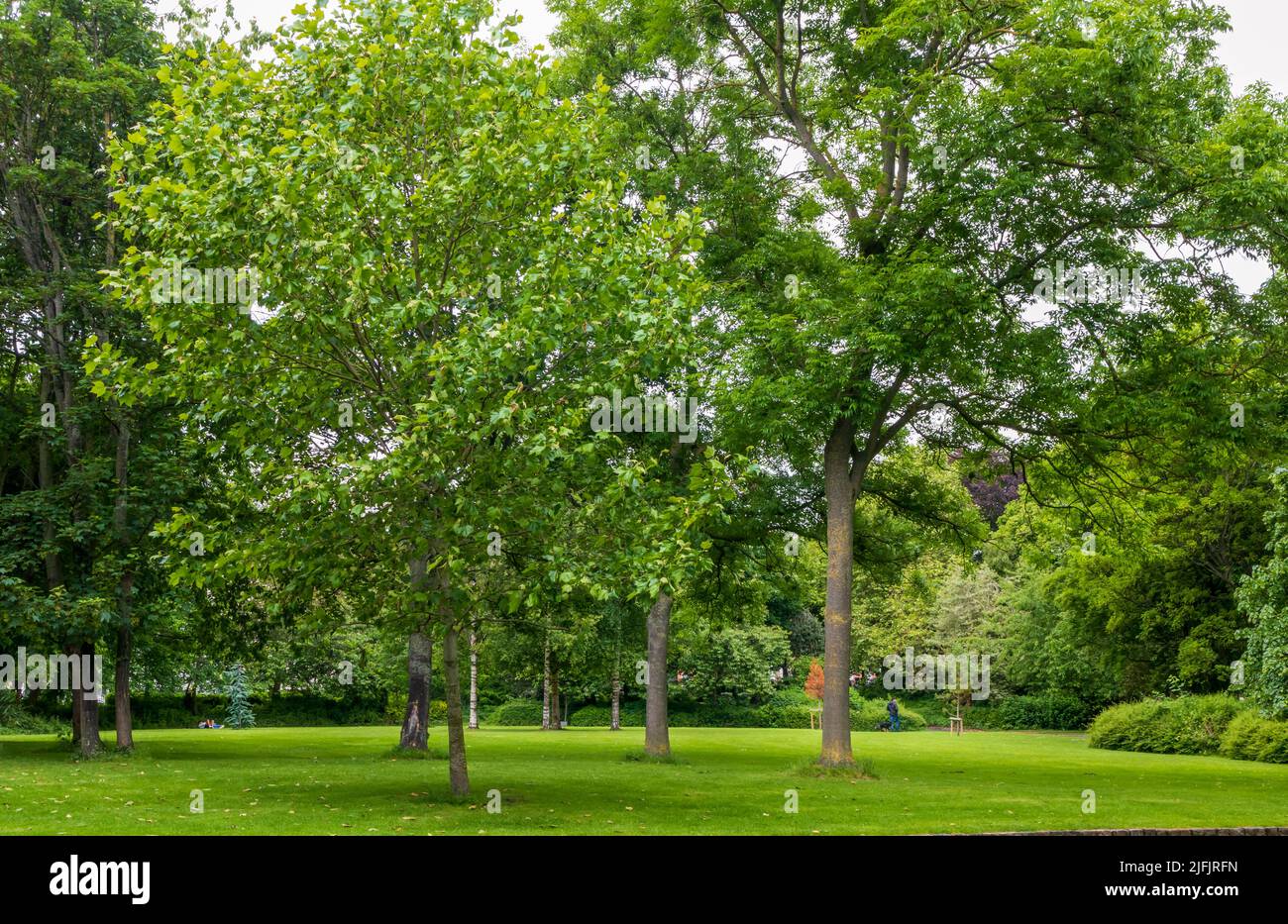 Vista panoramica del Merrion Square Park a Dublino, Irlanda Foto Stock