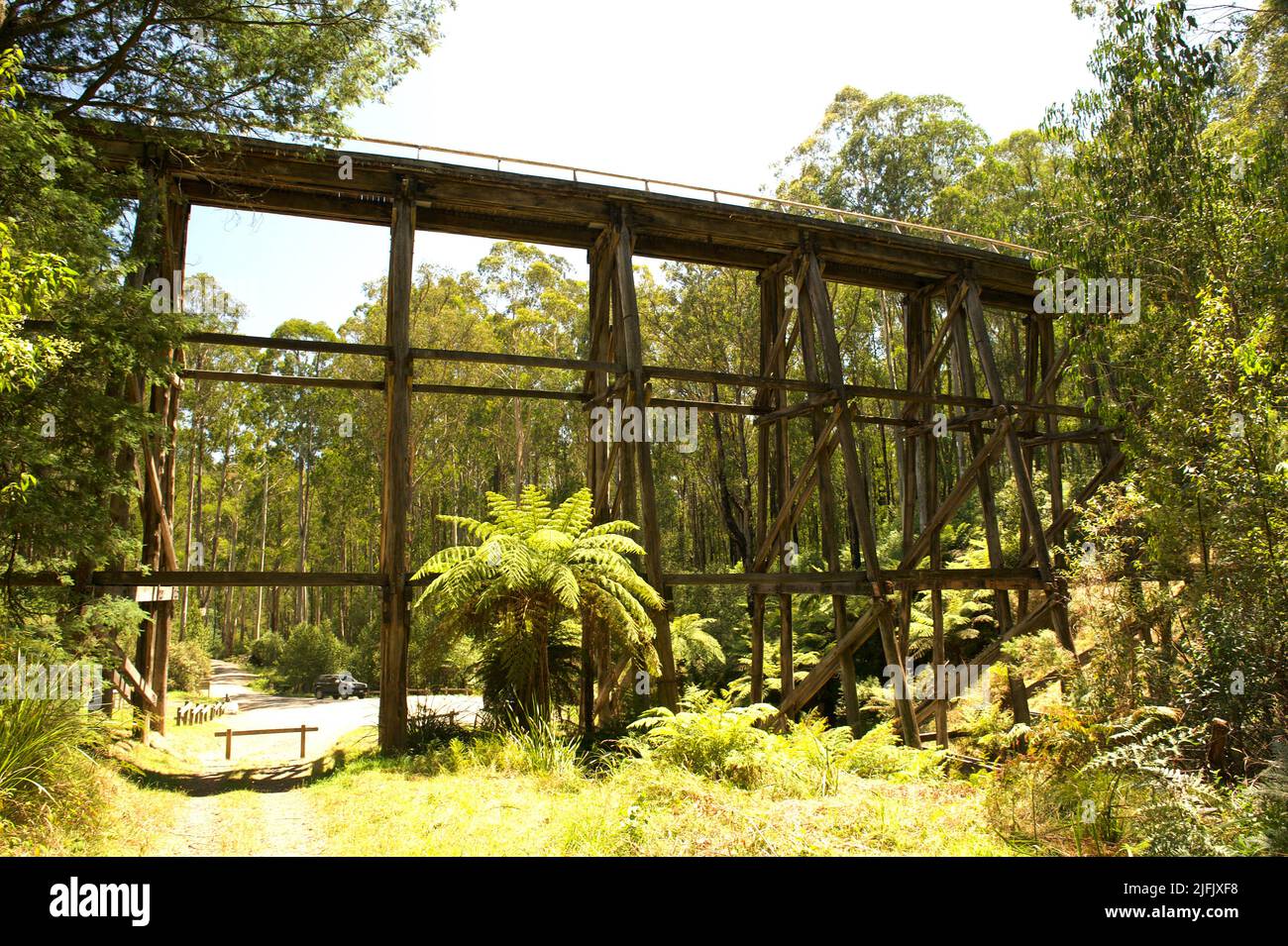 Il ponte Noojee Trestle fu costruito per trasportare la ferrovia da Warragul attraverso un ripido burrone. Quando la ferrovia chiuse divenne un sentiero pedonale. Foto Stock