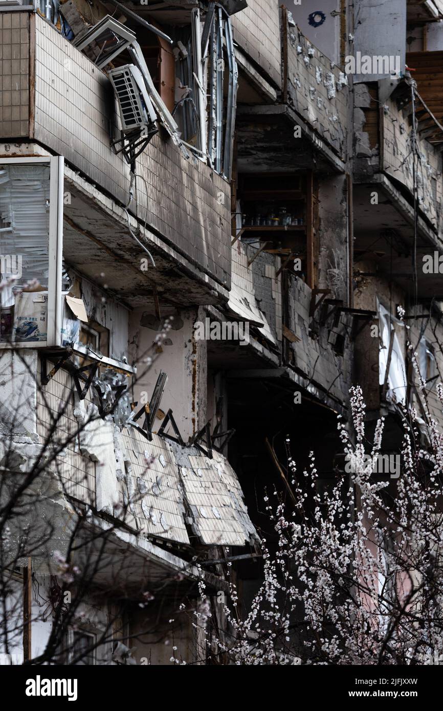 KYIV, UCRAINA - Apr 21, 2022: Un ramo di albicocca che fiorisce sullo sfondo edificio di appartamento da rovinato un missile da crociera sul secondo d Foto Stock