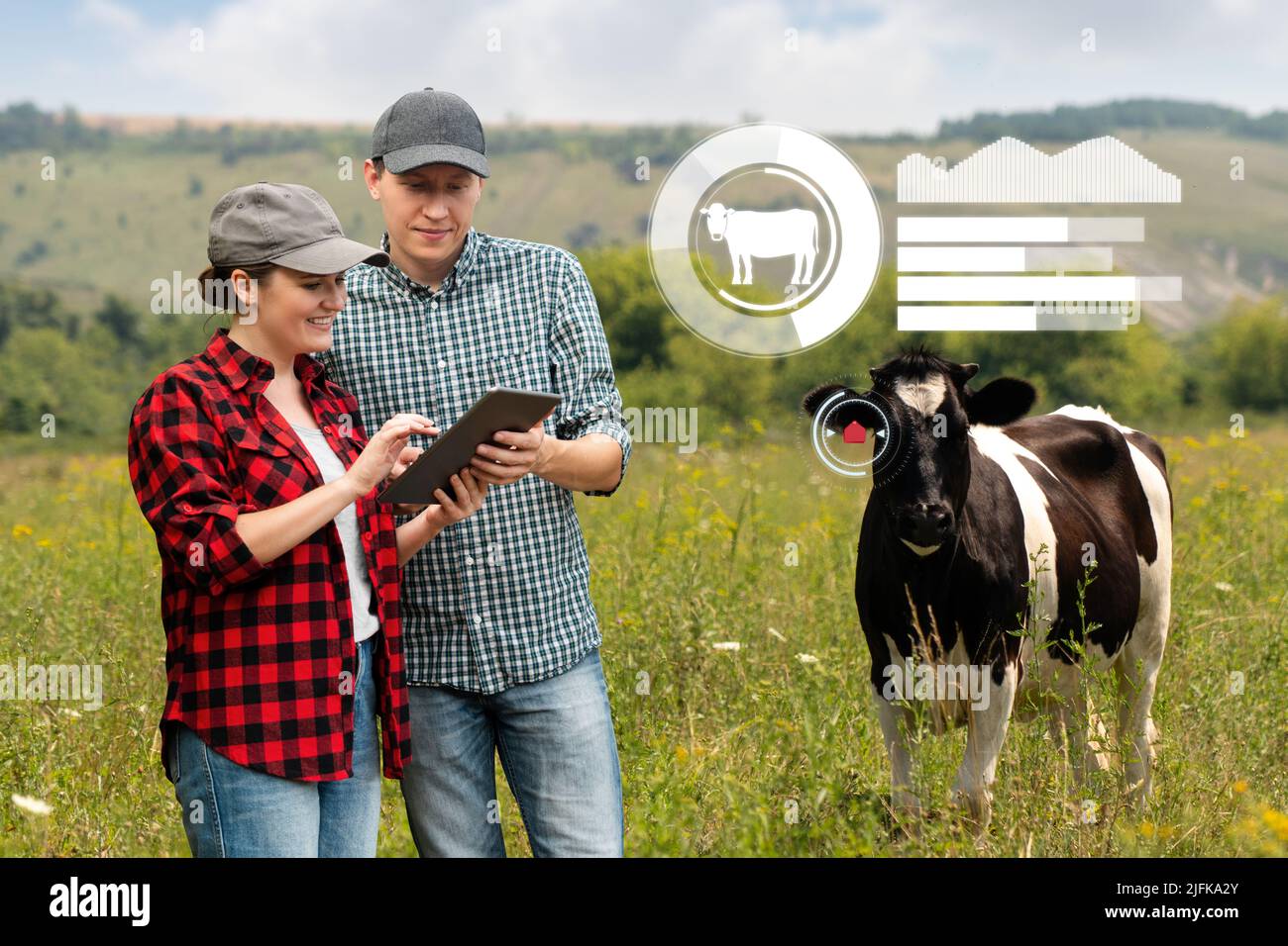Gli agricoltori con computer tablet ispezionano le mucche nel pascolo. Concetto di gestione del gregge. Foto Stock
