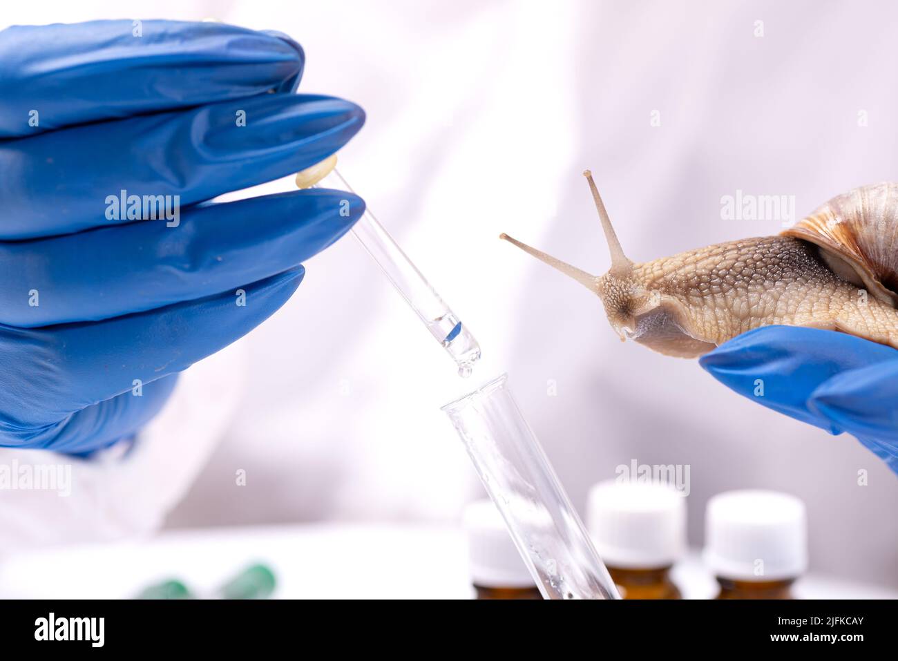 Uno scienziato in un vestito protettivo con una lumaca nelle sue mani. Studio delle proprietà della mucina della lumaca. L'uso del muco della lumaca in cosmetologia. Cura della pelle a Foto Stock