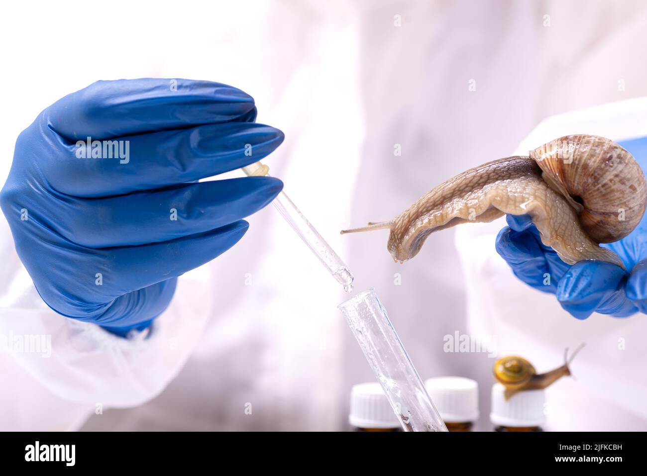 Uno scienziato in un vestito protettivo con una lumaca nelle sue mani. Studio delle proprietà della mucina della lumaca. L'uso del muco della lumaca in cosmetologia. Cura della pelle a Foto Stock