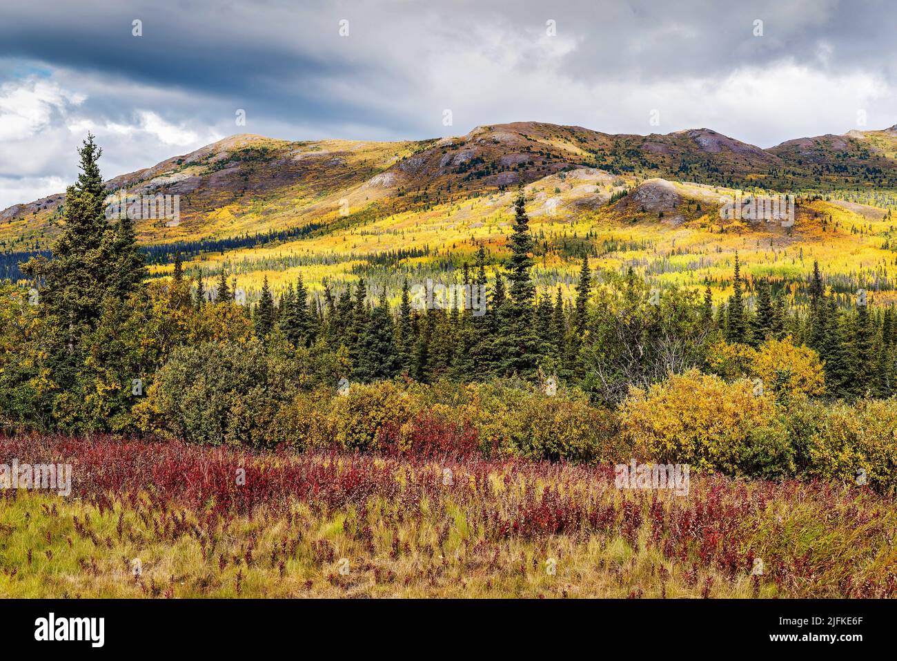 Incredibili colori autunnali nel Parco Nazionale di Kluane e riserva nel territorio di Yukon lungo Alaska Hwy. Foto Stock