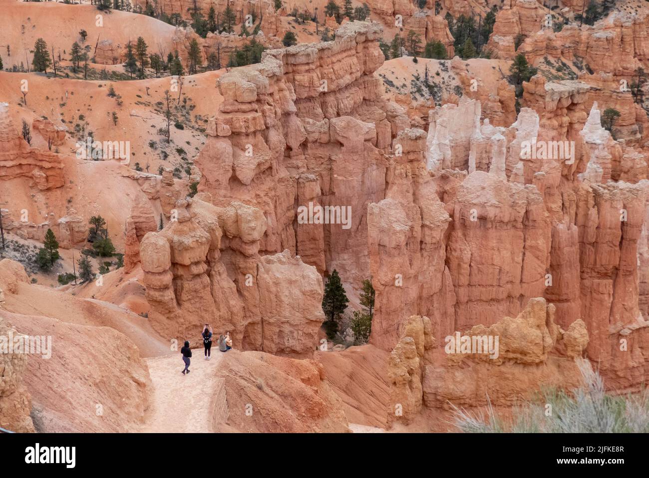 Bryce Canyon NP in Utah: Il canyon dal Rim Trail vicino a Sunset Point. Foto Stock