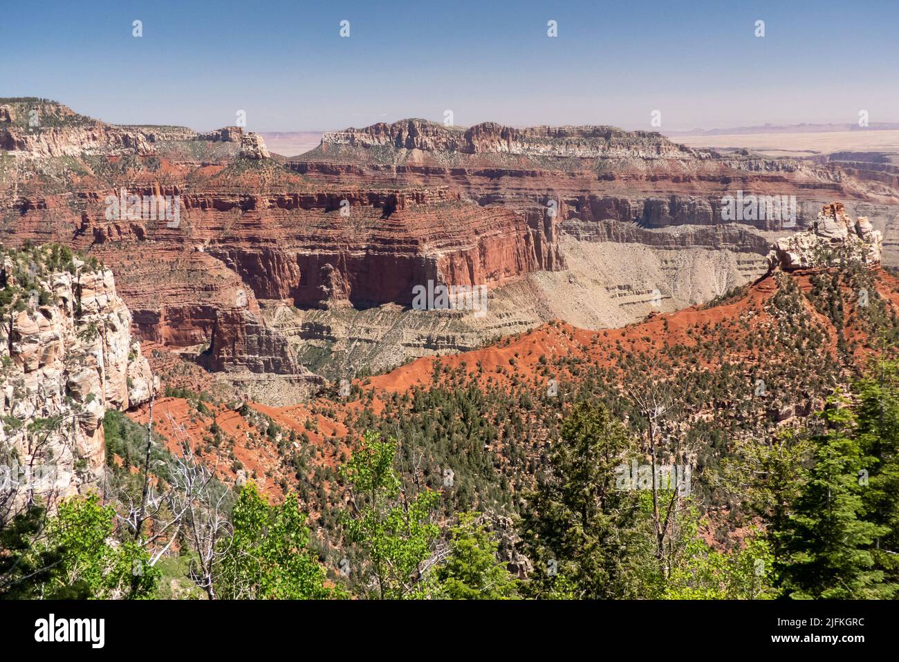 Arizona, USA: Il Grand Canyon preso da Vista Encantada sul versante nord Foto Stock