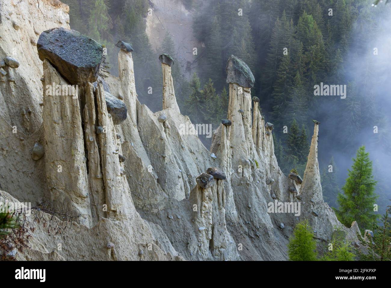 Piramidi di terra di Platten (Erdpiramiden - Piramidi di Plata) nei pressi  di Percha e Brunico, Alto Adige, Italia Foto stock - Alamy