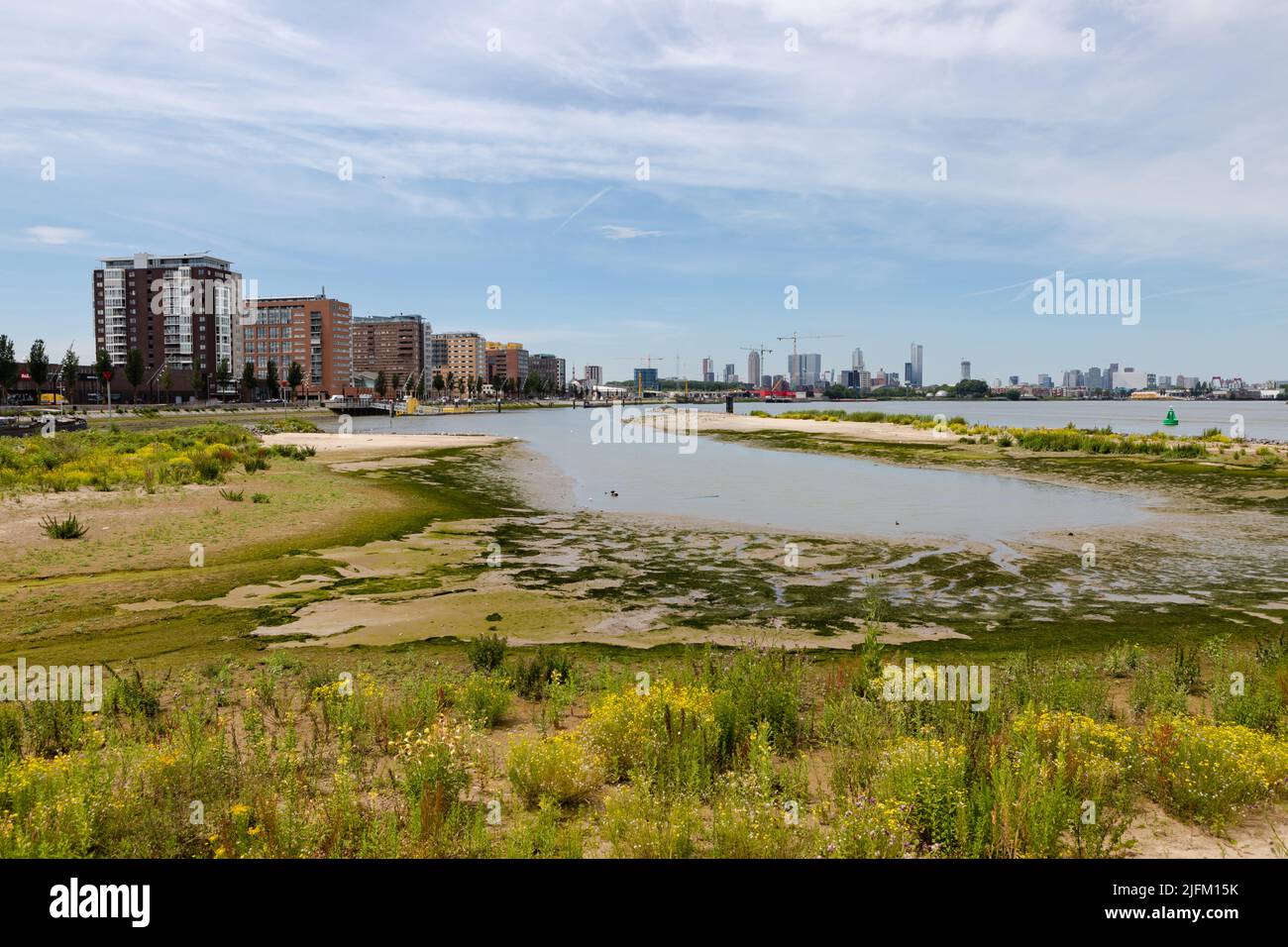 Vista della piscina marea, una parte recentemente sviluppata dell'isola di Brienenoord (Eiland van Brienenoord, Rotterdam, Paesi Bassi Foto Stock