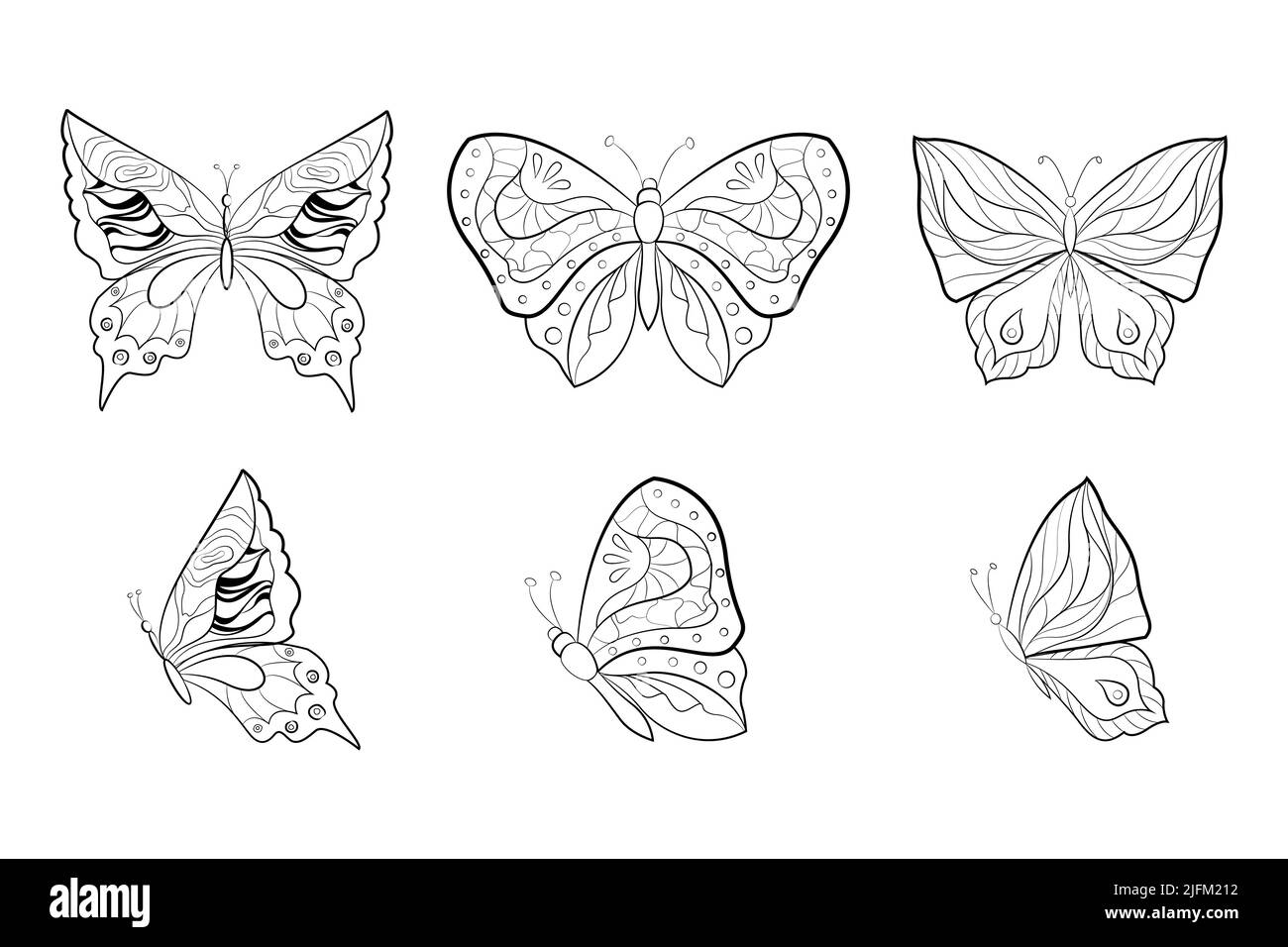 Collezione di eleganti farfalle esotiche isolate su sfondo bianco. Set di insetti volanti tropicali. Illustrazione vettoriale piatta Illustrazione Vettoriale