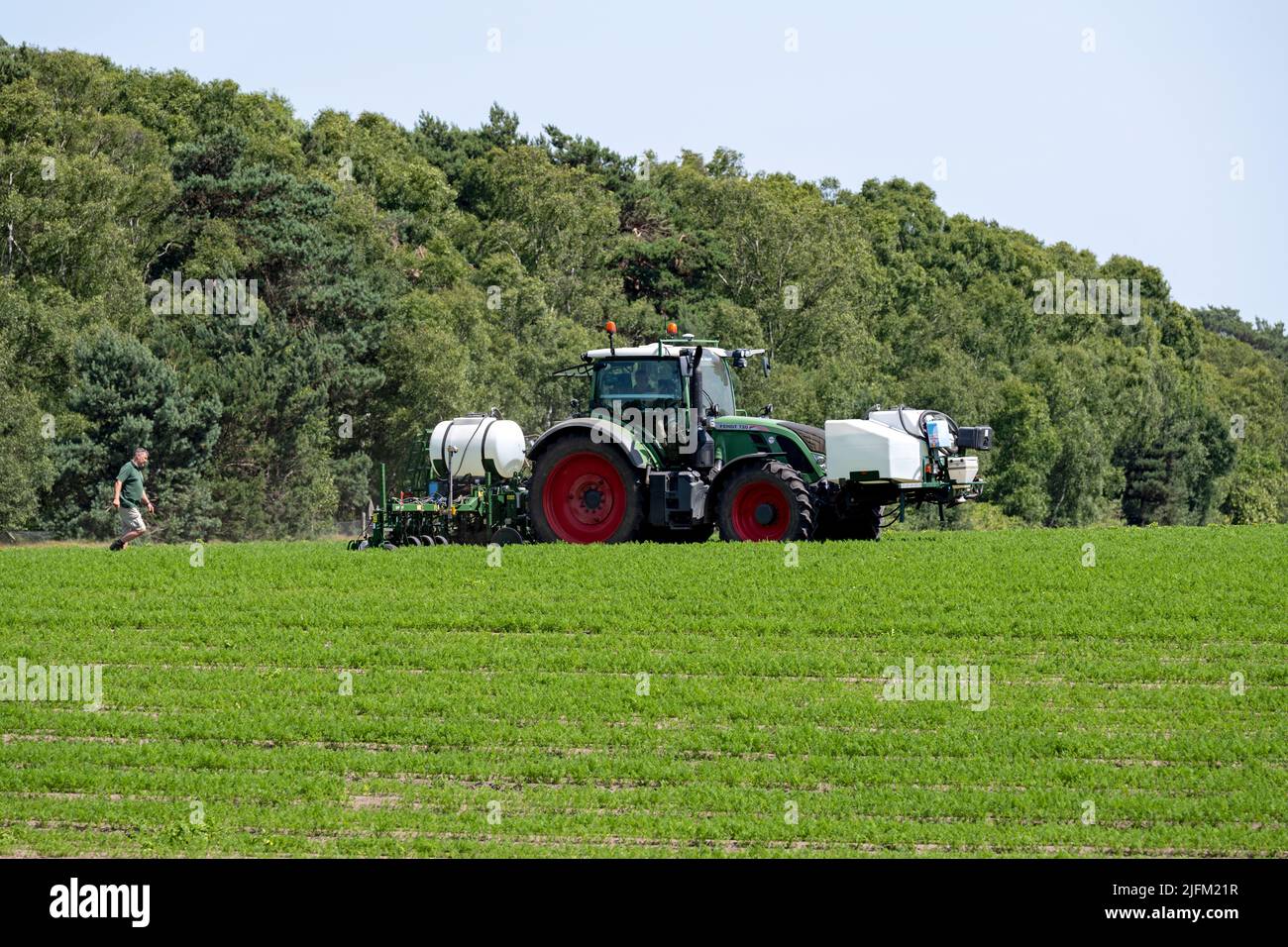Trattore FENDT 720 - coltivazione di carote a spruzzo di precisione Sutton Heath Suffolk Inghilterra Foto Stock Trattore FENDT 720 - coltivazione di carote a spruzzo di precisione Sutton Heath Suffolk Inghilterra Foto Stock