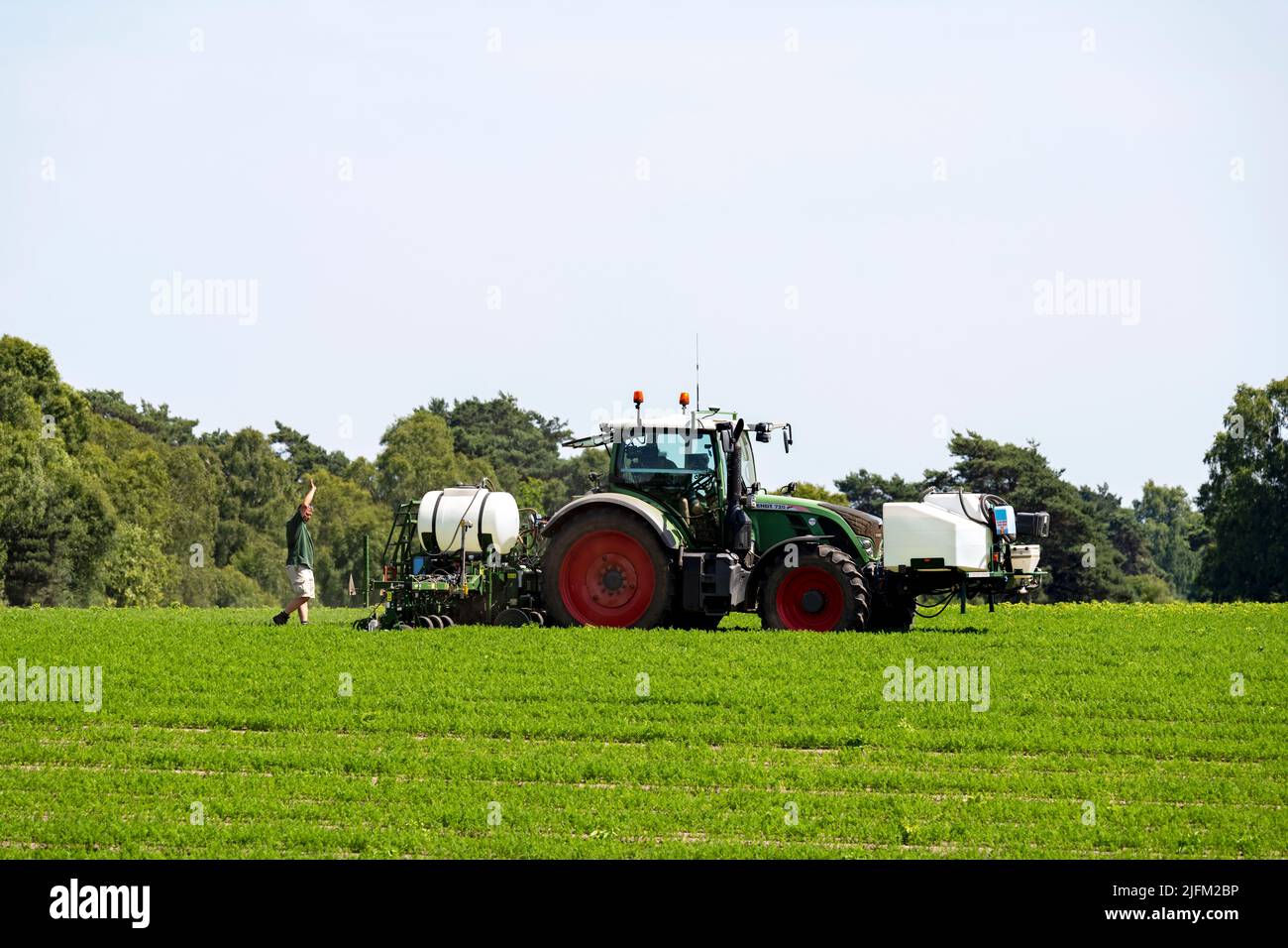 Trattore FENDT 720 - coltivazione di carote a spruzzo di precisione Sutton Heath Suffolk Inghilterra Foto Stock