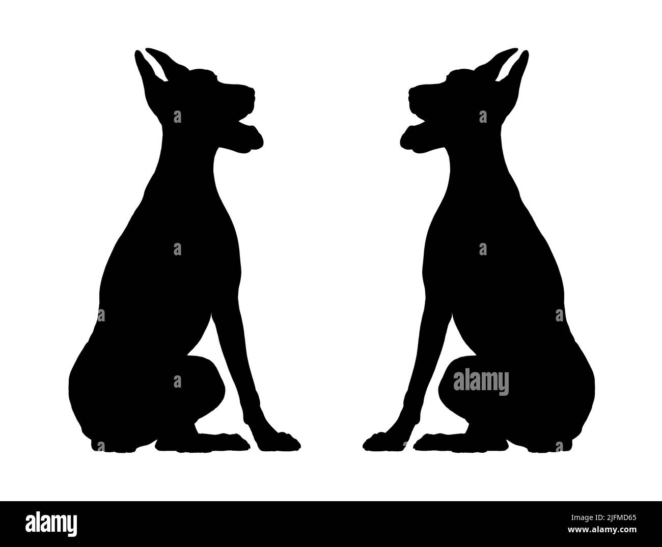 Silhouette di dobermann. Illustrazione isolata con il cane elegante. Disegno nero doberman pinscher. Foto Stock