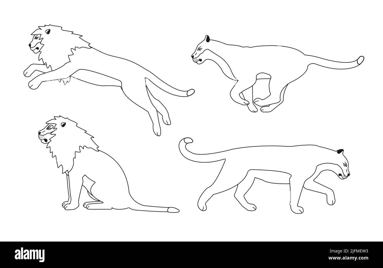 Set vettoriale di leoni a profilo piatto isolati su sfondo bianco Illustrazione Vettoriale