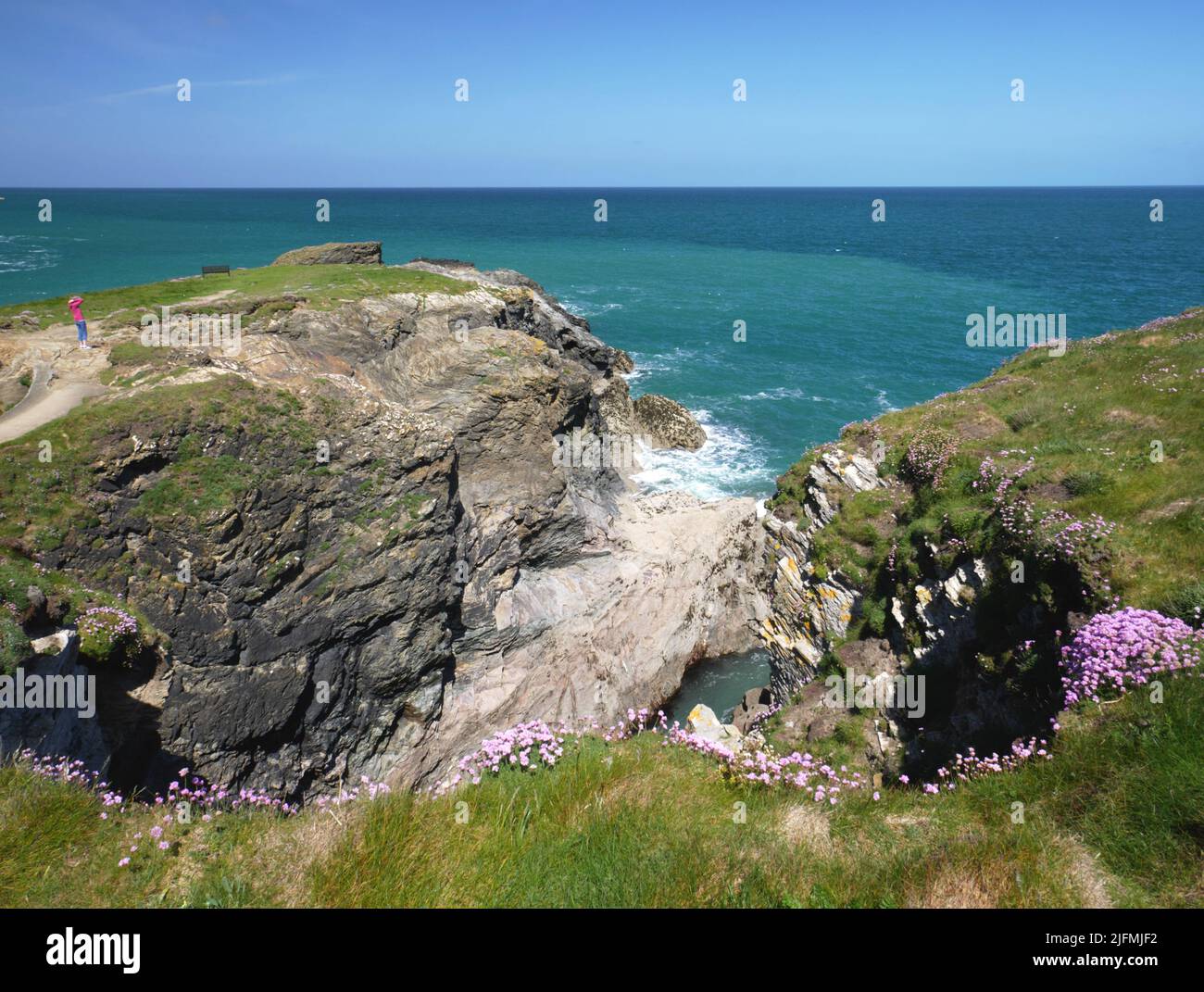 Scogliere sopra Port Gaverne, Cornovaglia. Foto Stock