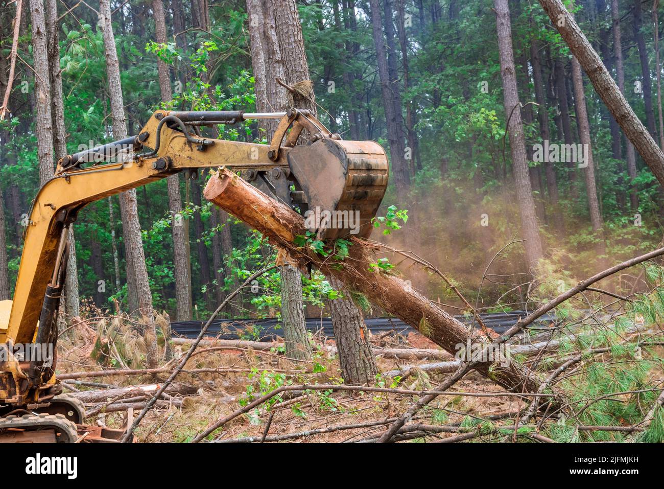 Durante il lavoro forestale, solleva i log con un manipolatore del trattore Foto Stock