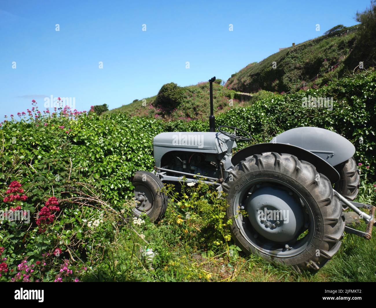 Un piccolo trattore grigio Fergie Ferguson TE20 a Port Gaverne, Cornovaglia. Foto Stock