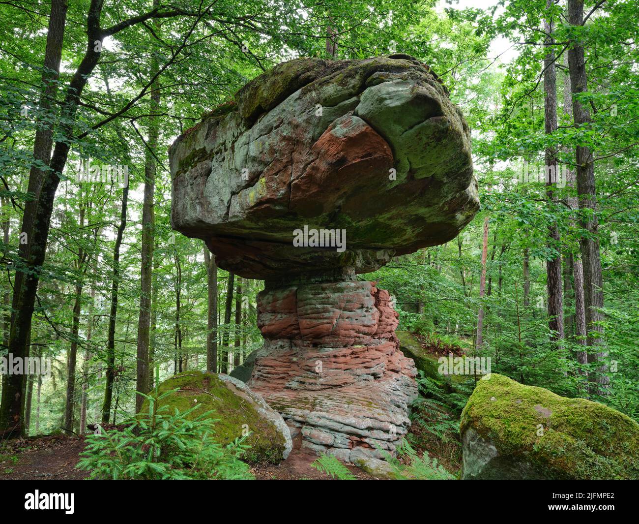 Hoodoo arenaria nella montagna settentrionale dei Vosgi. I Pilsfels a Sturzelbronn, Mosella, Grand Est, Francia. Foto Stock