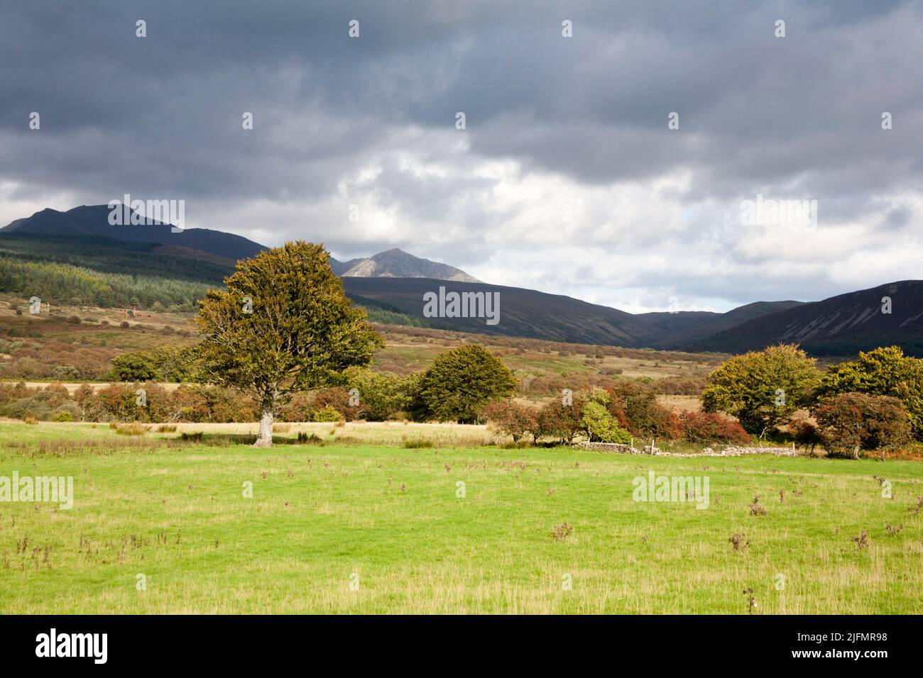 Pietre in piedi neolitico e cerchio di pietra Machrie Moor Isola di Arran Nord Ayrshire Scozia Foto Stock