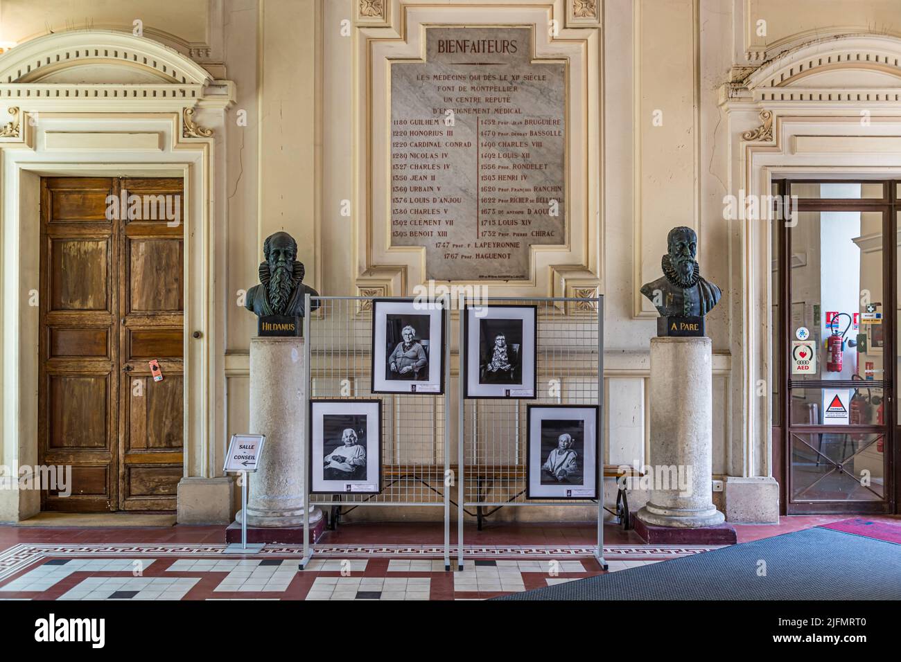 Museo della Facoltà di Medicina con migliaia di parti anatomiche e modelli umani. Montpellier, Francia Foto Stock