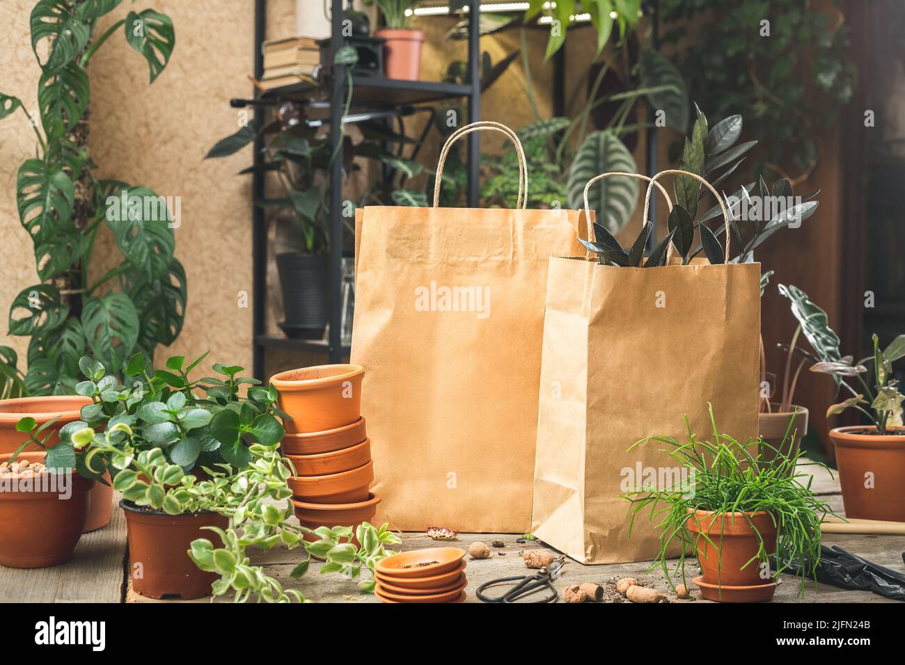 Sacchi di carta con piante al negozio di vivaio o negozio di piante. Concetto di shopping dello stabilimento. Acquisto di piante di casa. Concetto di piccola impresa. Mockup amichevole Foto Stock Sacchi di carta con piante al negozio di vivaio o negozio di piante. Concetto di shopping dello stabilimento. Acquisto di piante di casa. Concetto di piccola impresa. Mockup amichevole Foto Stock