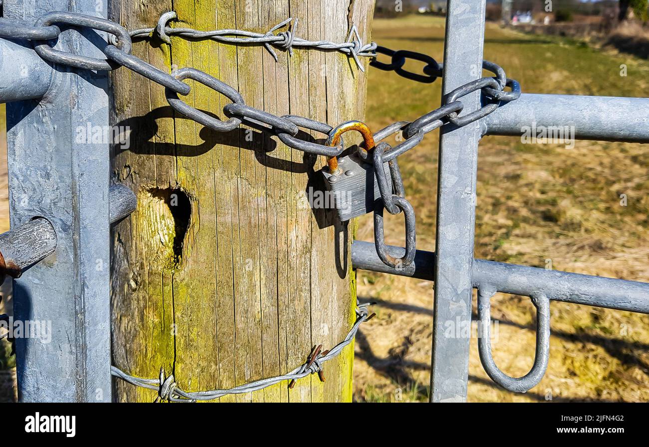 due cancelli agricoli in acciaio galvanizzato incatenati insieme da lucchetto arrugginito attraverso un sostanziale palo rotondo in legno con spinato cablato avvolto intorno ad esso Foto Stock