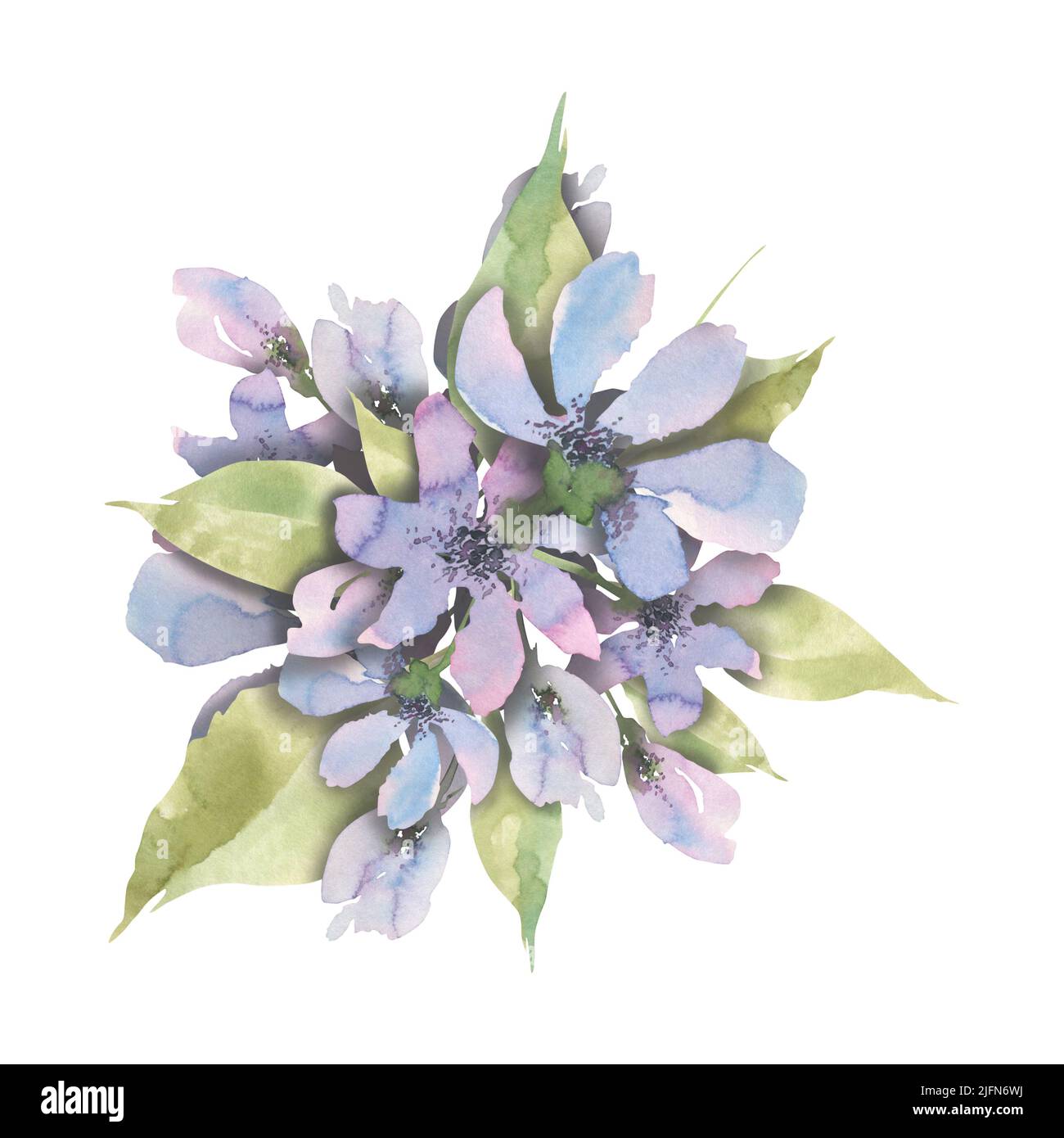 Fiori viola con foglie nella tecnica alla prima. Illustrazione dell'acquerello. Composizione per la progettazione e la decorazione di stampe, souvenir, loghi Foto Stock