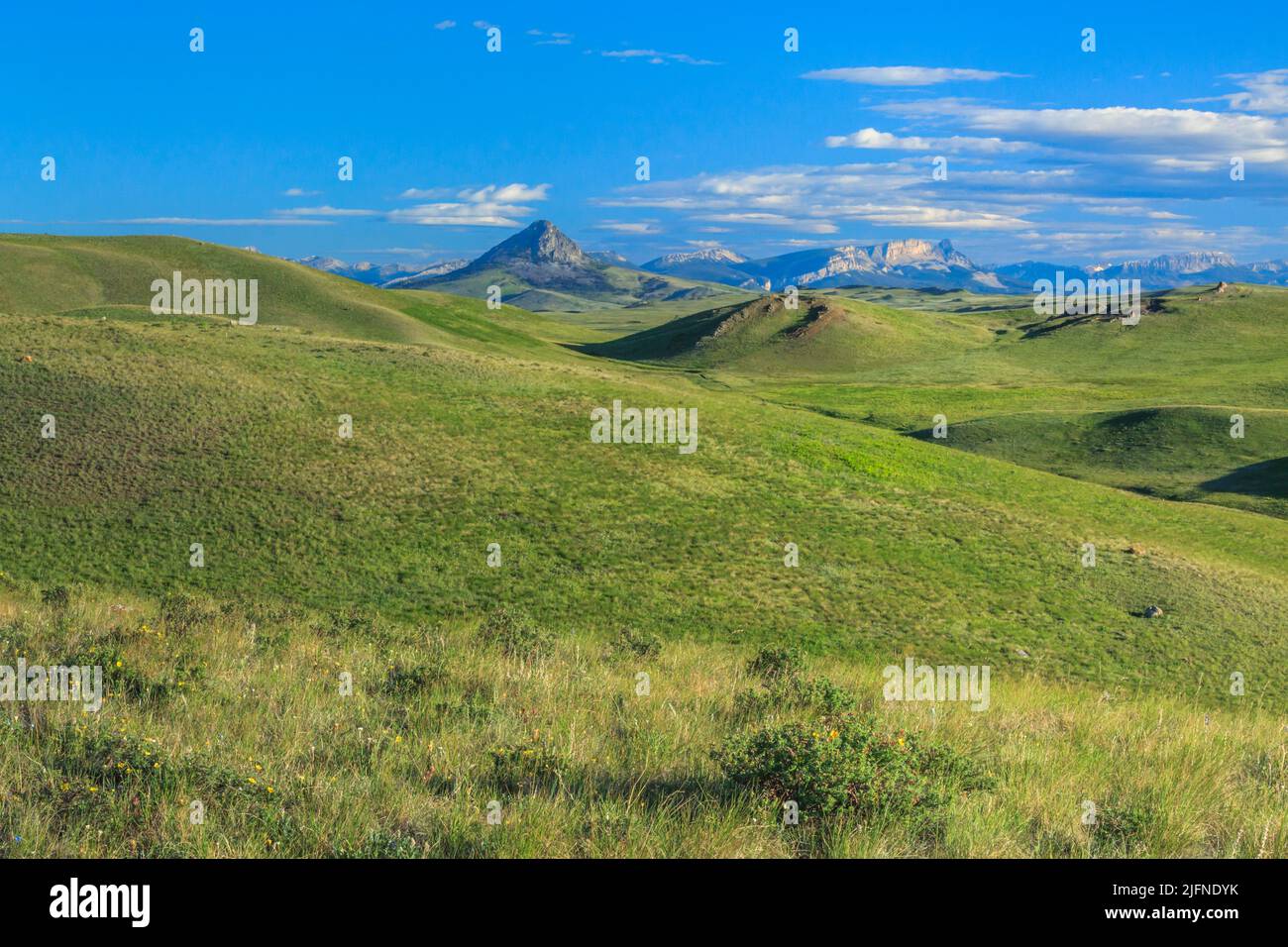 Prairie colline al di sotto del Rocky Mountain Front vicino a Augusta, montana Foto Stock