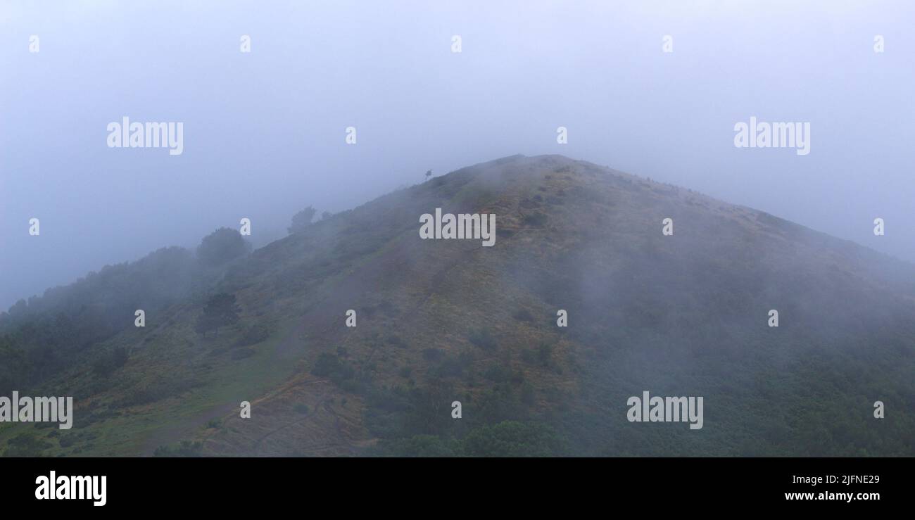 collina erbosa nebbia picco Foto Stock