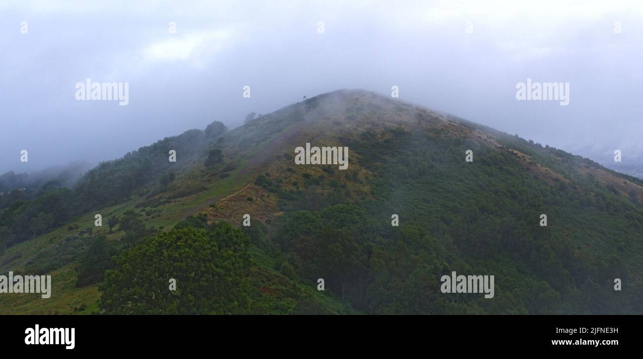 collina erbosa nebbia picco Foto Stock