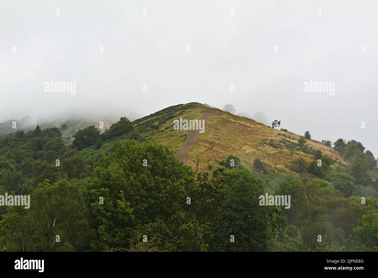 collina erbosa nebbia picco Foto Stock