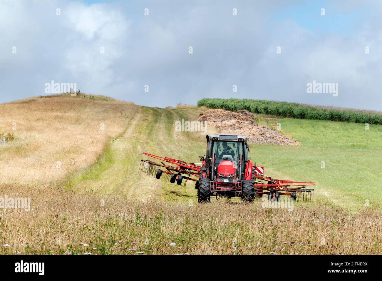 Un trattore che lavora in un campo di erba secca appena tagliata sta tirando un rastrello meccanico prima che l'erba sia raccolta e raggruppata per fare fieno Foto Stock