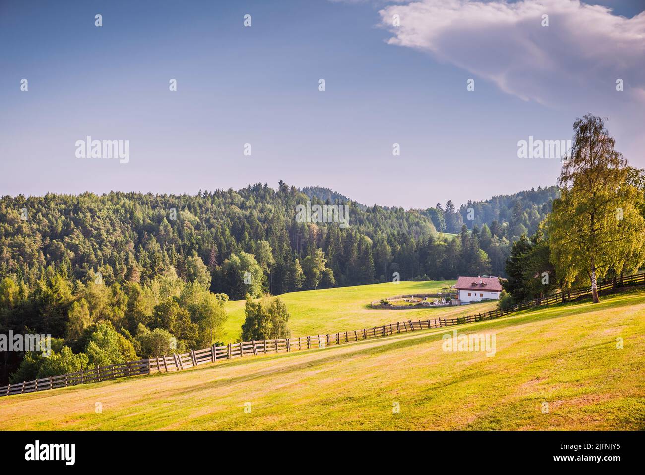 Il verde dei campi di erba e una fattoria nella splendida valle delle Dolomiti vicino Bolzano. Bolzano, Alto Adige, Trentino-Alto Adige, Italia, Europ Foto Stock
