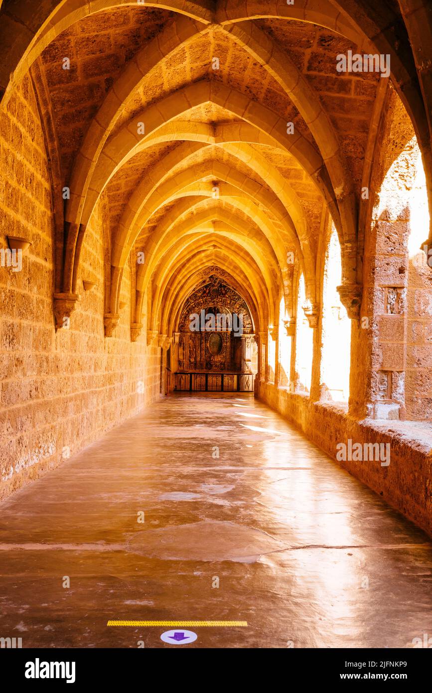 Chiostro, architettura cistercense. Monasterio de Piedra, Nuévalos, Saragozza, Aragón, Spagna, Europa Foto Stock
