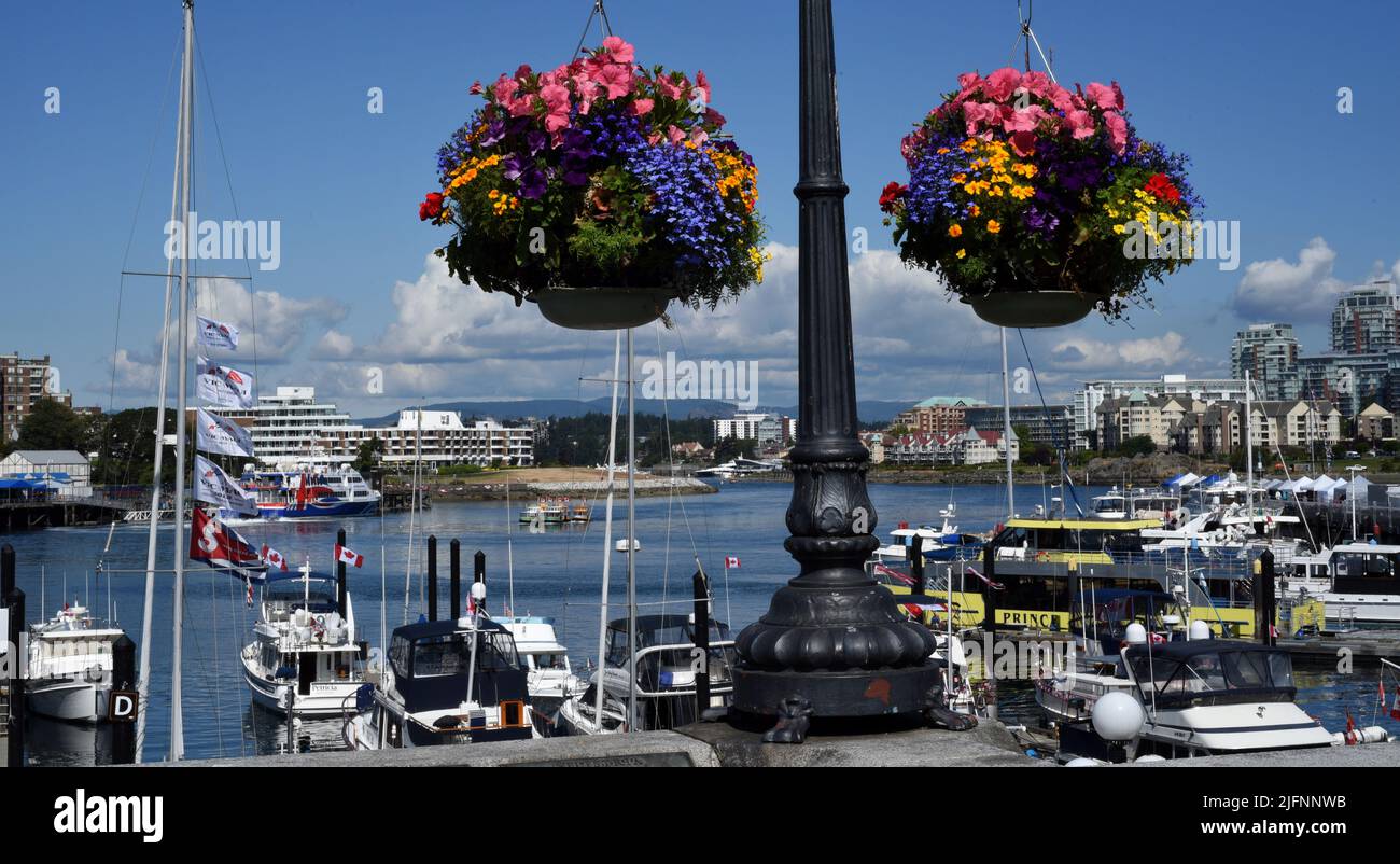 I cestini dei fiori appendono da un posto davanti alle barche ormeggiate nel Porto interno a Victoria, Columbia Britannica, Canada sull'isola di Vancouver. Foto Stock