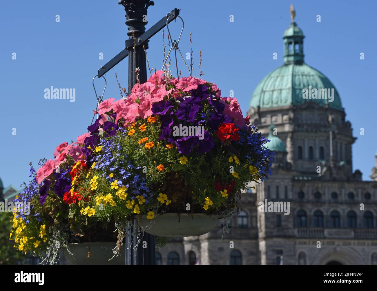 I cestini dei fiori appendono da un posto di fronte all'edificio provinciale della Legislatura a Victoria, British Columbia, Canada sull'Isola di Vancouver. Foto Stock