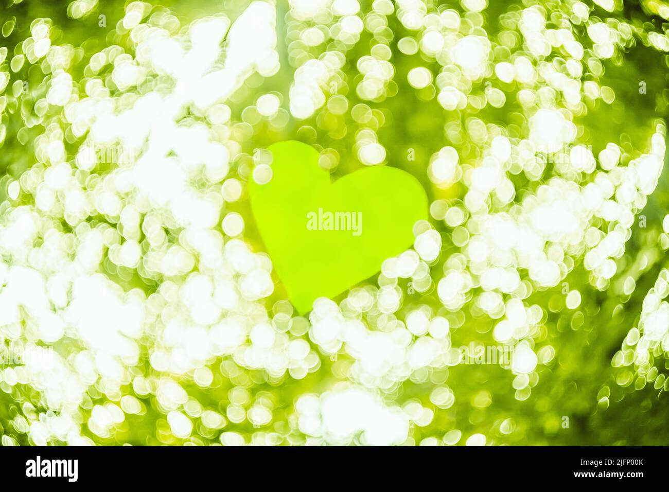 Cuore verde su colore bianco e verde Bokeh Abstract Light. San Valentino sfondo. Foto Stock