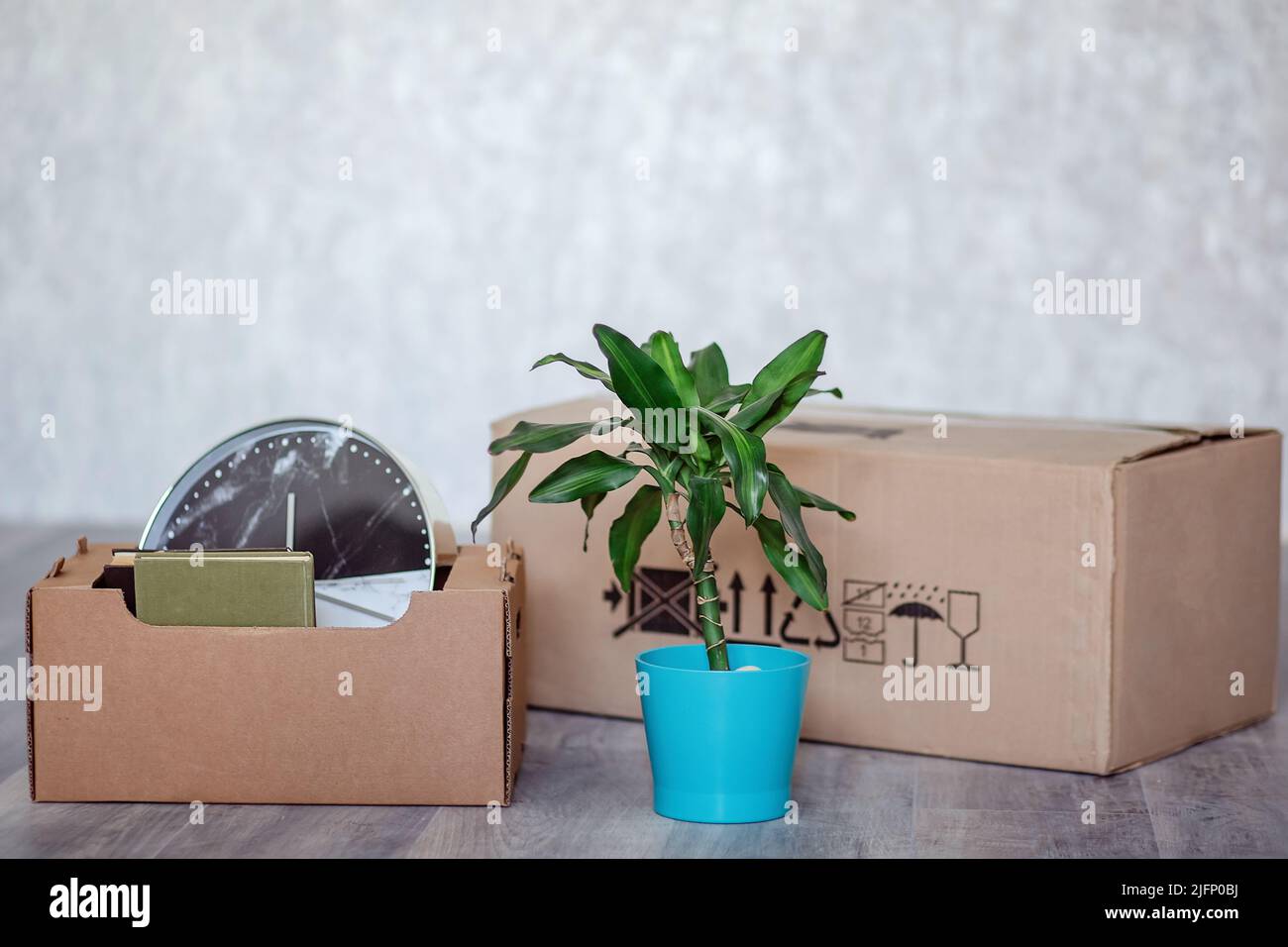 spostamento in un nuovo appartamento con oggetti in scatole di cartone. Scatole con cose e una pianta verde sul pavimento in un appartamento vuoto dopo il trasferimento. Foto Stock