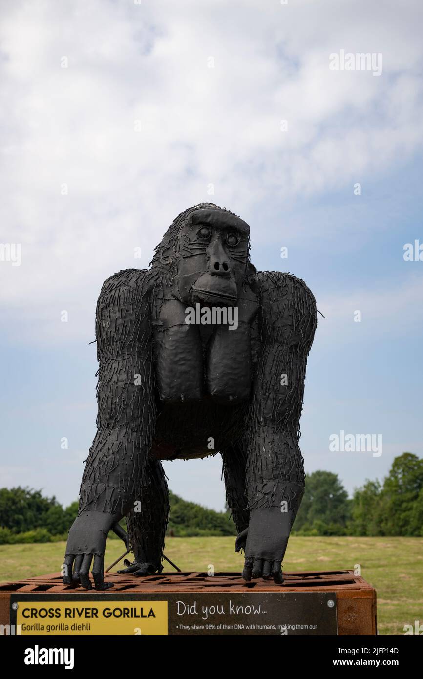 The British Ironwork Centre, Cross River Gorilla Exhibit/Sculpture Foto Stock