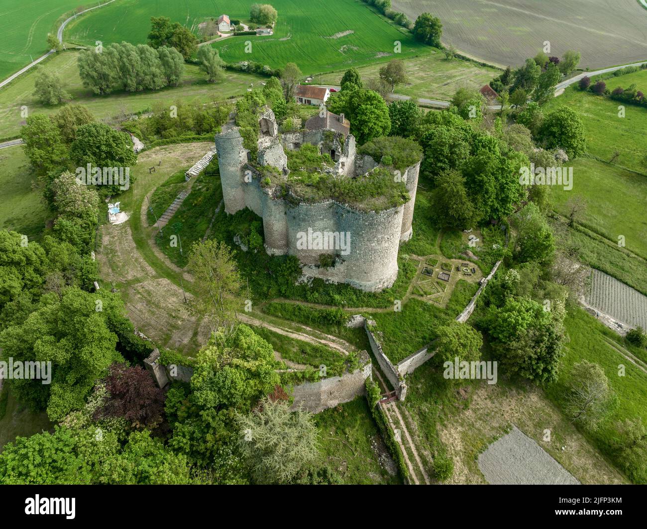 Vista aerea dall'alto verso il basso piano terra del castello di Montaigu le blin Gothic Ruin nel dipartimento di Allier nella Francia centrale. Cortile inferiore circondato da rovinate W. Foto Stock