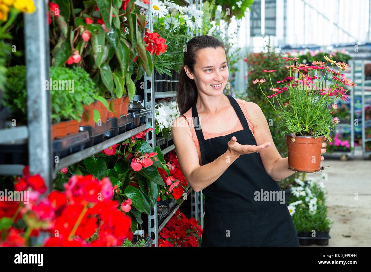 Donna gasshouse negozio lavoratore tenendo fiori da giardino Foto Stock