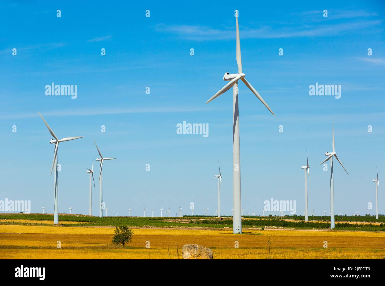 Immagine delle centrali eoliche nei campi vicino alla città di la Muela Foto Stock