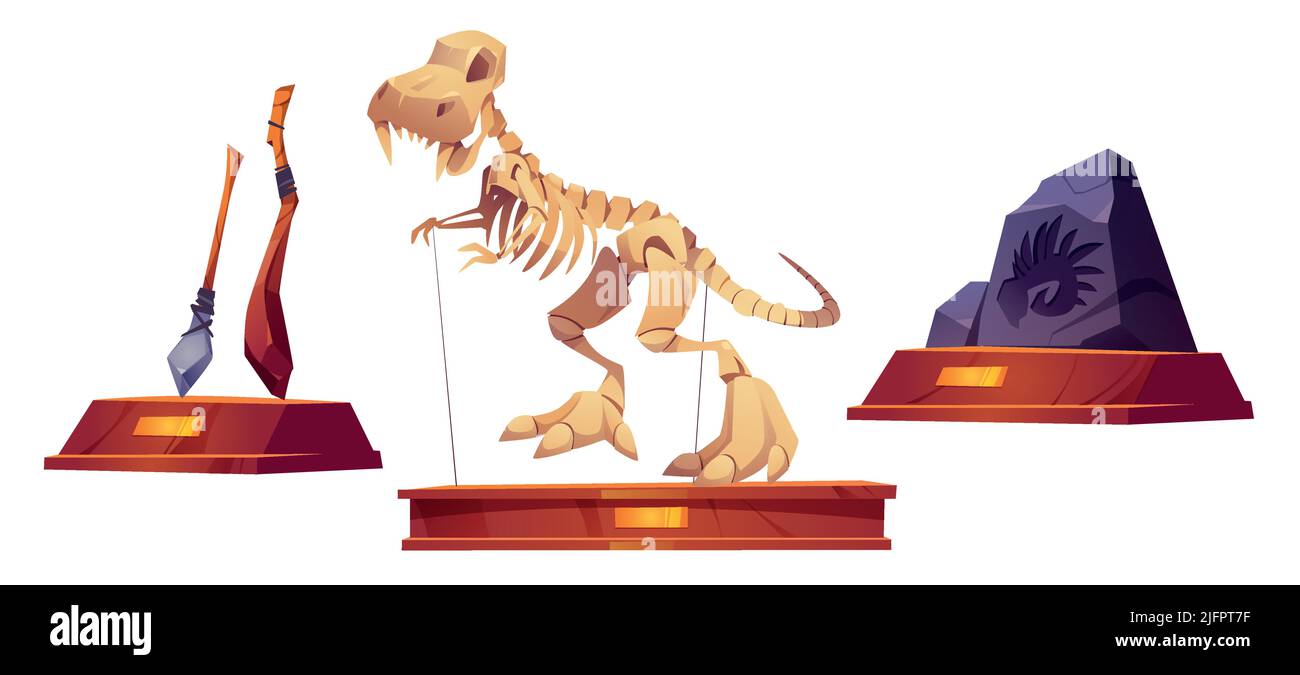 Paleontologia museo oggetti scheletro dinosauro, arma in età lapidea e molluschi preistorici stampare su roccia. Reperti archeologici storici, Tyrannosaurus rex e strumenti primitivi mostra Cartoon vettore set Illustrazione Vettoriale