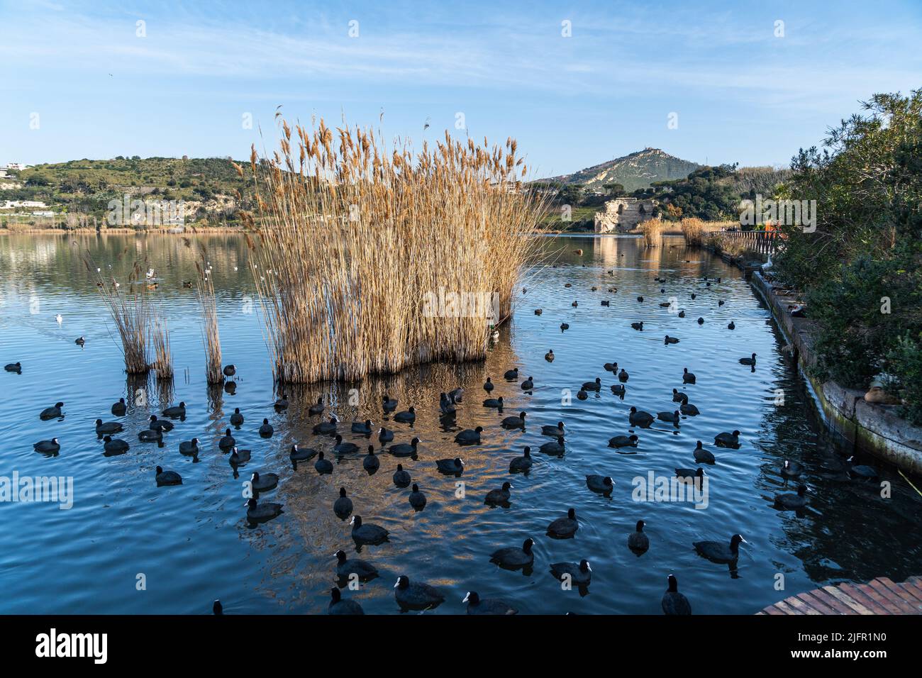 Bellissimo paesaggio naturale del Lago d'Averno, Pozzuoli, Campania, Italia Foto Stock