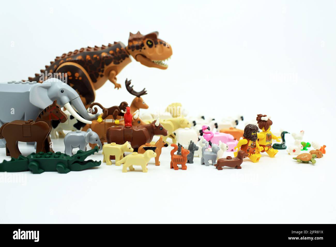 migliaia di animali e coppie di persone camminano nel regno animale Foto Stock