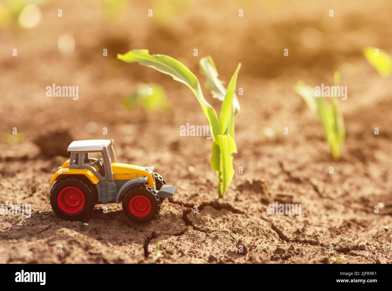 Modello giocattolo pressofuso di trattore agricolo in campo di germoglio coltivato, fuoco selettivo Foto Stock